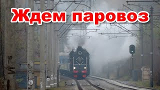 Ищем паровоз в Киеве