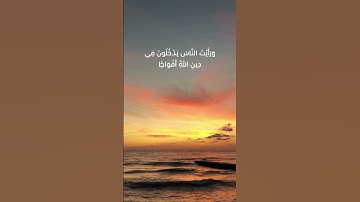 سورة النصر ❤