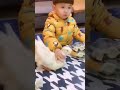 حيوانات تطارد اطفال مضحك جدا Funny Videos Cute Animals Babies Are Bullied By Animals 