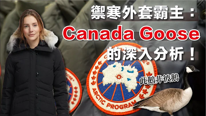 禦寒外套霸主：加拿大鵝 Canada Goose 的深入分析！ - 天天要聞