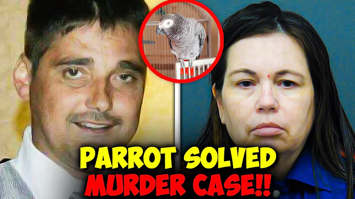 Parrot Revealed the True Killer