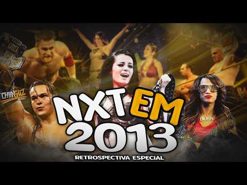o ABSURDO ANO de 2013 do WWE NXT !!!