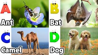 ABC Jungle Animal Sounds 479TH1 | Nursery Rhyme for Kids | Koko Study Class