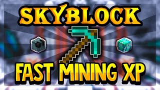 The FASTEST Way To Get Mining XP in Hypixel Skyblock (Mining XP Guide)