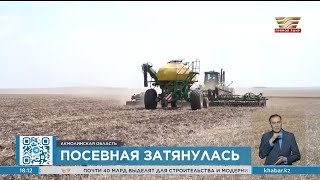 5 Млн Гектаров Планируют Освоить Аграрии Акмолинской Области