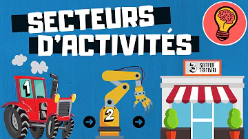 Quel sont les 3 secteur d'activité en France ?