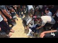 تشييع الشهيد منصور شحتوت في النصيرات والذي ارتقى بقصف إسرائيلي لمركبته في مخيم المغازي وسط قطاع غزة