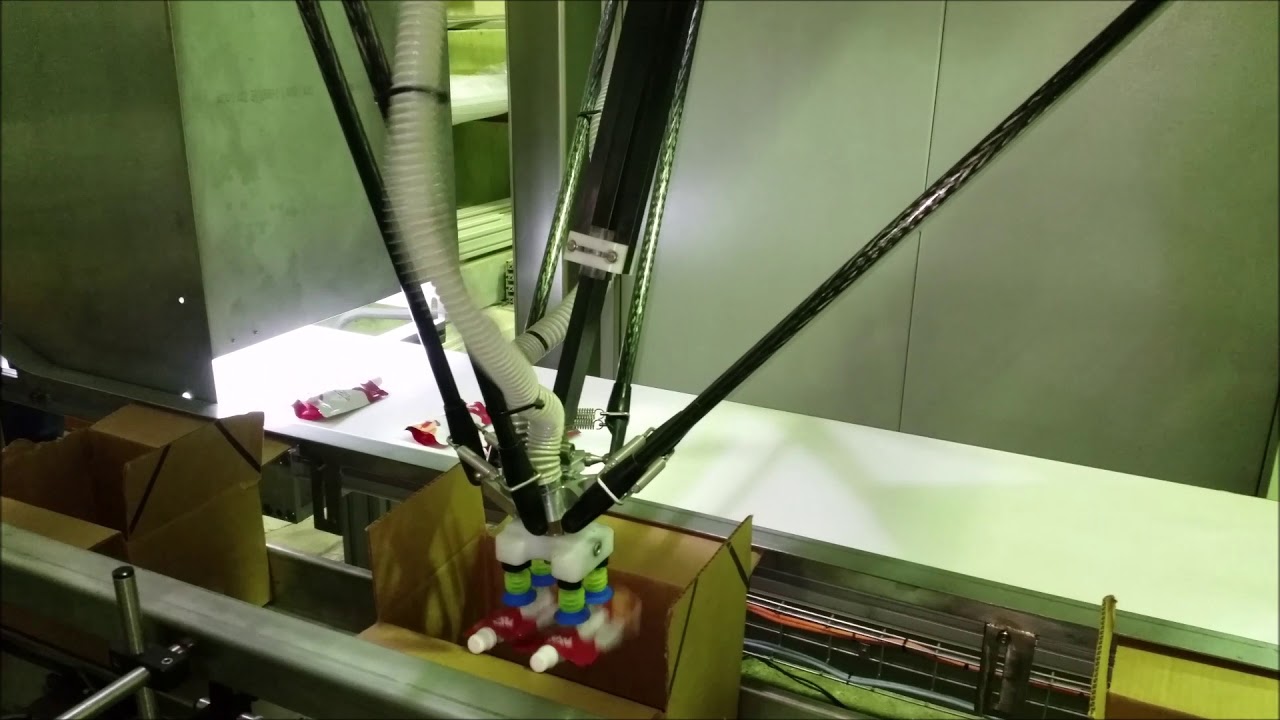 Encajado de doypacks con robot Delta - Delta Case Packer for doypacks