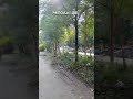 ქუთაისში ავტომობილი ბებიას და შვილიშვილს დაეჯახა