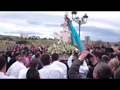 Ilustre Patronato de la Santísima Trinidad y Nuestra Señora de las Vacas