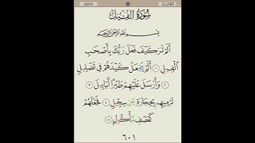 سورة الفيل، القرآن الكريم، القاريء عبد الرحمان بنموسى     Sourat Al_fil: Abderrahmane Benmoussa