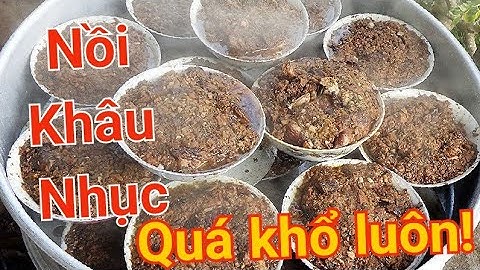 Khau nhục truyền thống của người Nùng Lạng sơn || ẩm thực vùng cao || Rừng Xanh