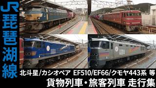[FHD] 2016年 琵琶湖線の列車 走行集2 ～冬春～ 117系/クモヤ443系/EF66/EF81/JR東EF510 等