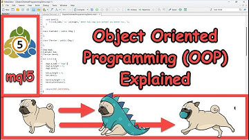 Introduction to Object Oriented Programming (OOP) in MetaTrader Programming (mql5)