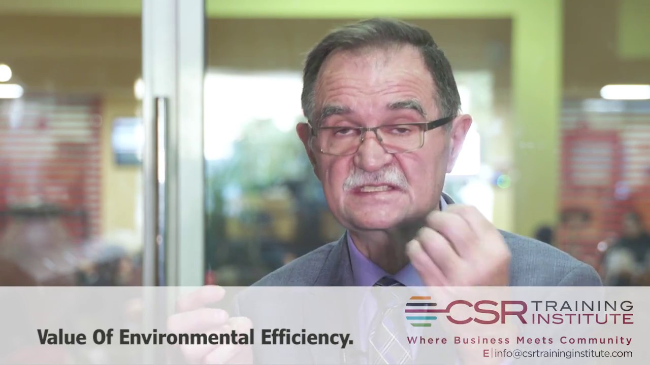 Value of Environmental Efficiency