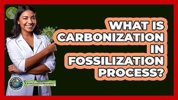 What Is Carbonization In Fossilization Process? - Earth Science Answers