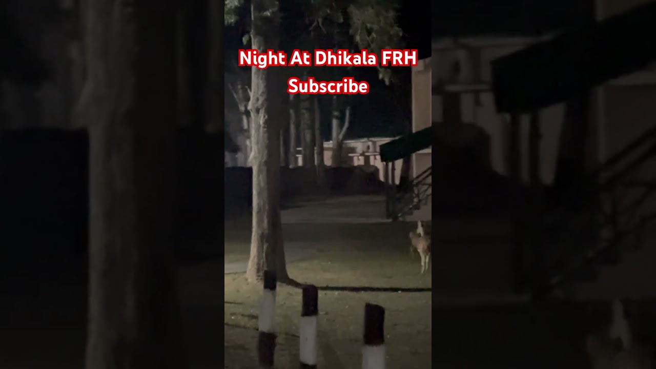 Night at Dhikala FRH 
