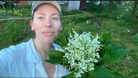 Как я сходила с ума по цветам или 30 дней моего мая