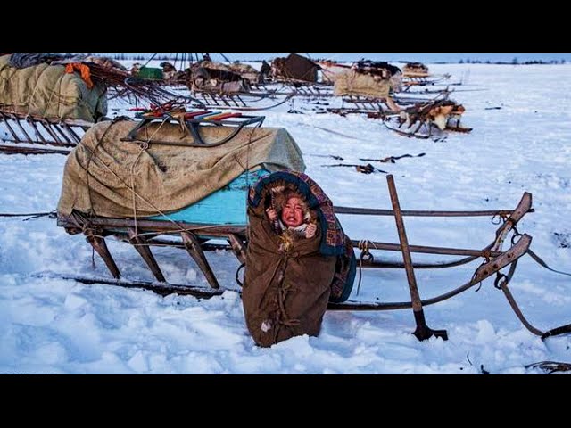 KEHIDUPAN SUKU NENETS [SUKU YANG MENDIAMI KUTUB UTARA] class=