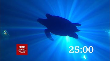 Mock Own Footage BBC News Countdown #68