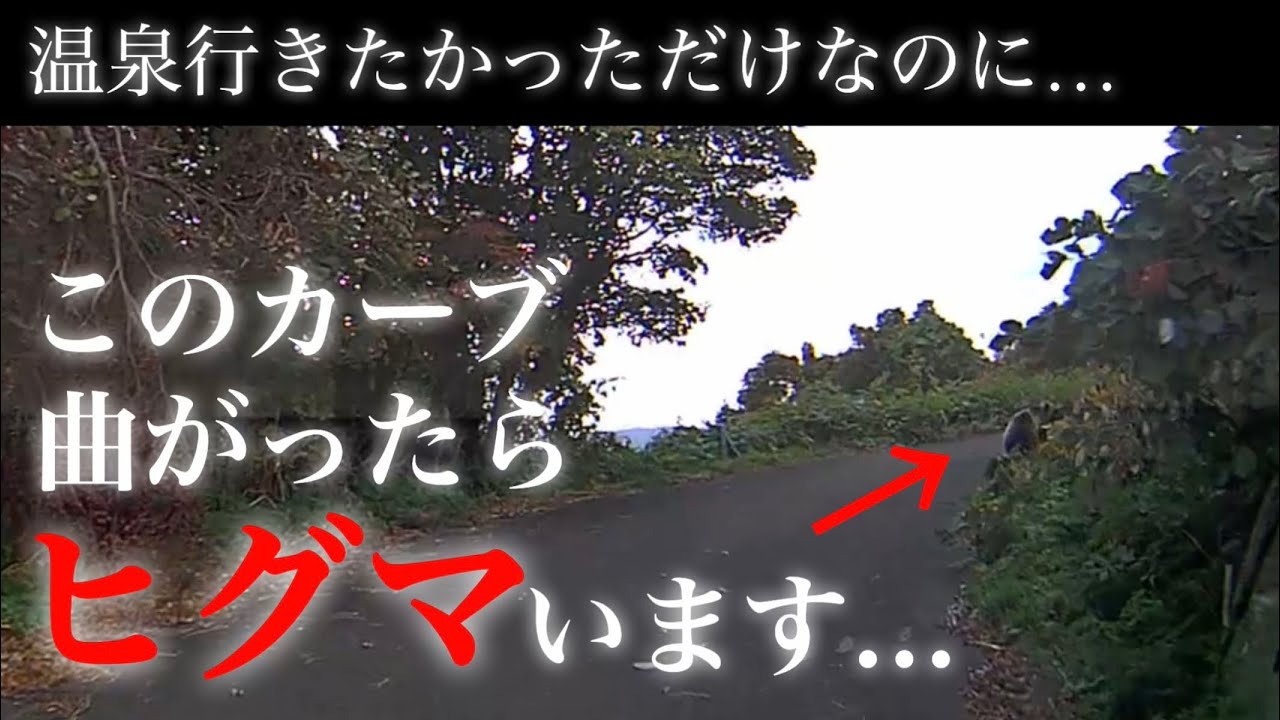 このカーブ曲がったらヒグマいます。2回連続でヒグマに翻弄された北海道せたな町ドライブ