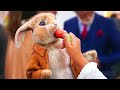 Rabbit Pretends to Be Robot | Peter Rabbit | Clip