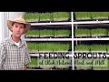 Feeding Sprouts (Shortened Version)
