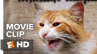 Kedi Movie CLIP  Cat Fight (2017)  Documentary