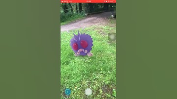 AR+ after catching Pokémon by using the catch-bug in Pokémon Go