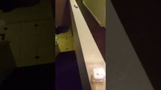 Celebrity Michael Jackson ghost caught on tape Wealth