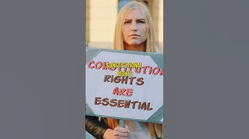 Peter Schiff: The Tax System Violates Our Constitutional Rights