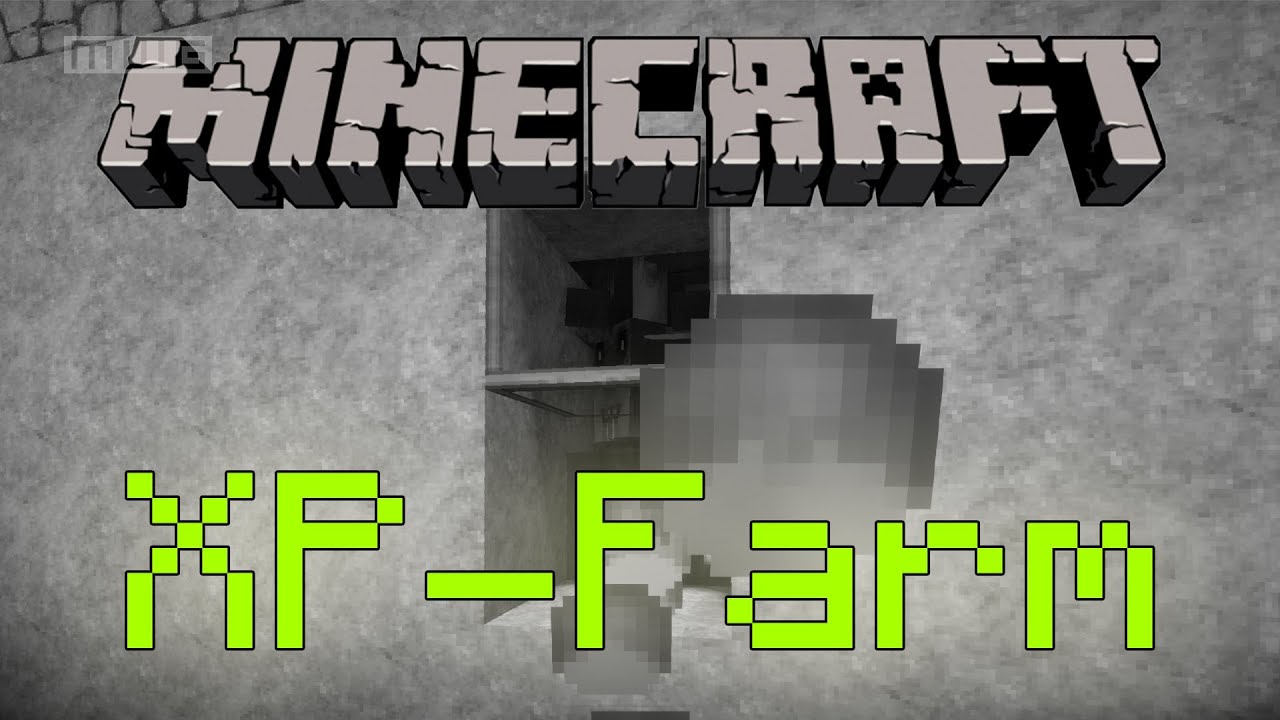 Minecraft Erfahrung Minecraft Erfahrung
