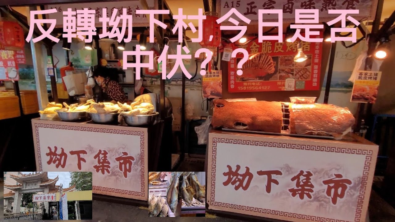 [超超孫41]深圳 坳下村篇： 反轉坳下村，買走地雞， 鐵打藥酒 ，今日是否中伏？？？