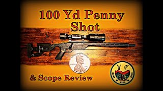 100 Yd Penny Shot and ATN Scope Review #17HMR