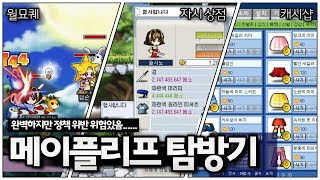 옛메 구현도 100% 메이플리프 월드 체험기 (오픈은 힘들지도?)