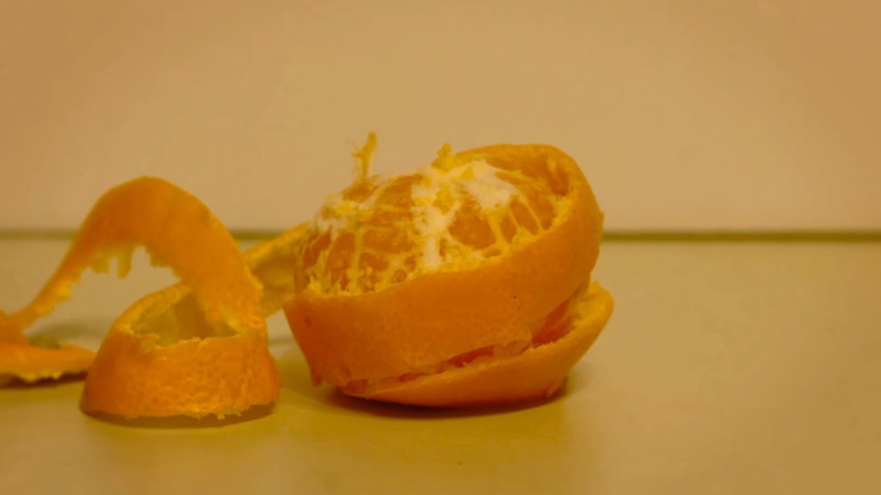 『みかん』コマ撮り・ストップモーション | Stop motion [Orange]