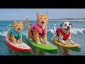 Mama Cat and Kitten’s Magical Seaside Holiday 🌊☀️ A Dream Vacation Full of Healing Moments 💙✨