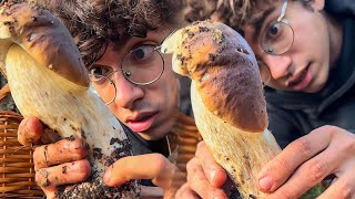 COMIENDO LAS SETAS QUE ENCUENTRO EN EL BOSQUE 🍄🍄🟫