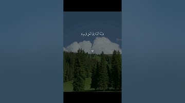 سورة إبراهيم الأية {42} إلي الأية{44} انشروا الفيديو