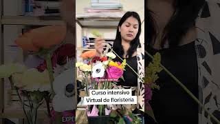 curso de FLORİSTERİA