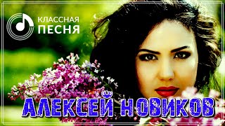 Шикарный шансон | Алексей Новиков  - Душистая сирень