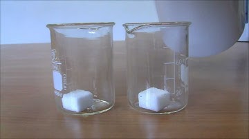 The Repellent Files - Case #5 Sugar Cubes