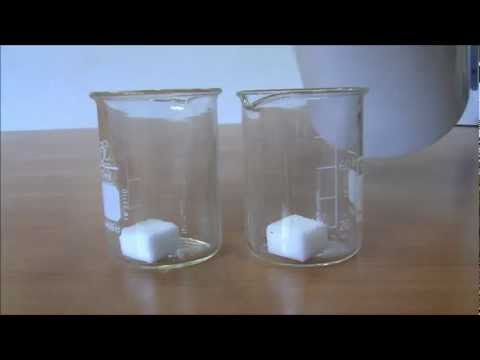 The Repellent Files - Case #5 Sugar Cubes