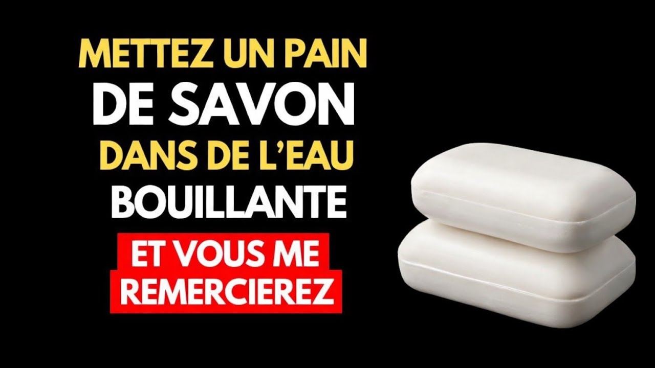 Mettez un pain de savon dans de l'eau bouillante et vous me remercierez