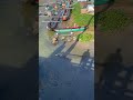 Огромный варан в речке на Шри-Ланке #shrilanka #animals #wow