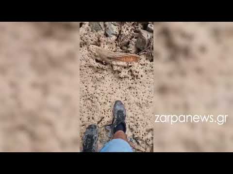 Η στιγμή που τουριστες περιμένουν να βγουν από το φαράγγι της Σαμαριάς