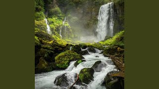 Harmony of Rapids