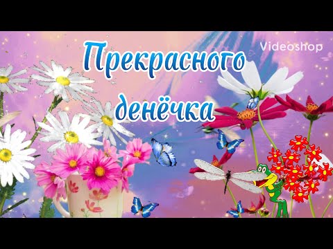 Желаю Прекрасного Дня И Отличного Настроения🌸Музыкальная Открытка🌿С Добрым Утром🌸Хорошего Дня🌿