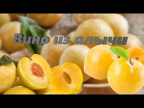 Как делать вино из алычи в домашних условиях