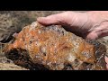 Dream Deposit Loaded With Giant Agates With Inclusions! Rockhounding Central Oregon New Find!